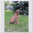 Ginger and Clints Methos 07.JPG